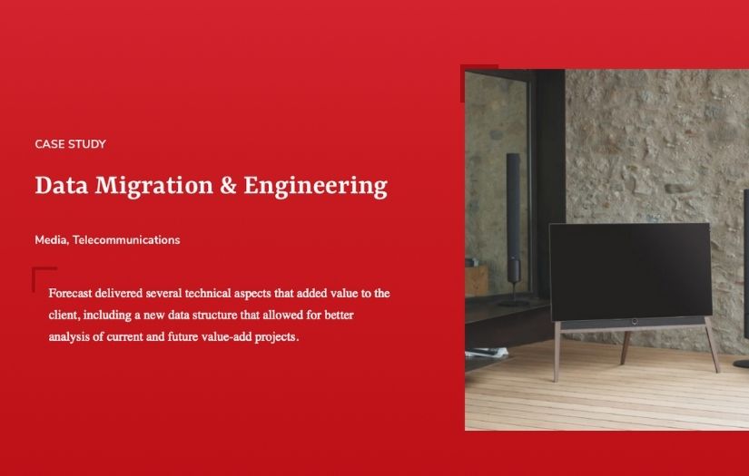 Data Migration & Engineering screenshot 1