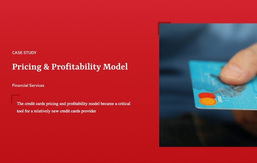 Pricing & Profitability Model screenshot 1