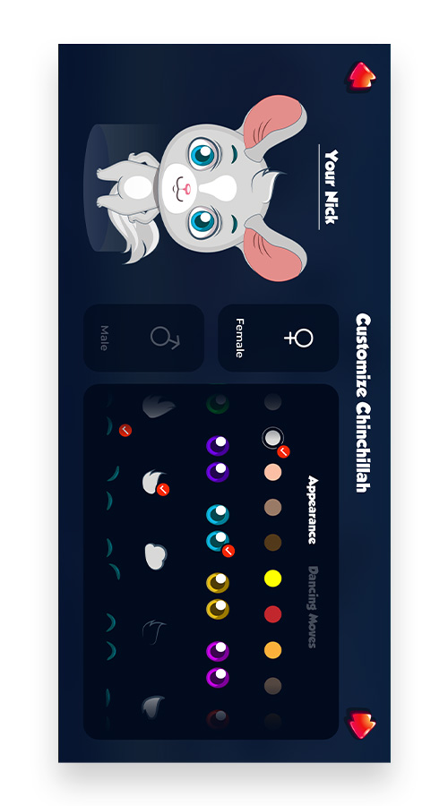 Chinchilla Time screenshot 1