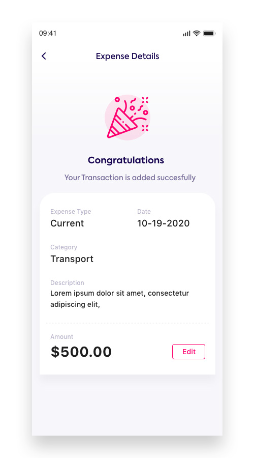 Sckeem Budget screenshot 2