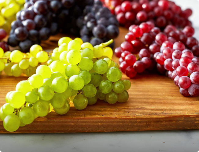 SAGEXIM screenshot 1