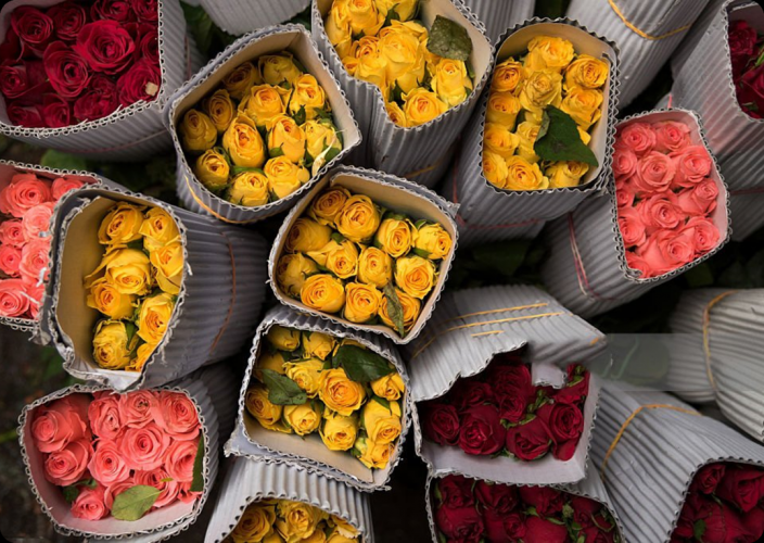 SAGEXIM screenshot 3