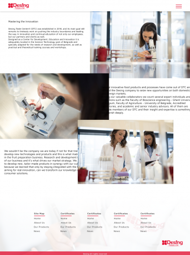 Desing LLC - UI/UX Design and Web Development screenshot 3
