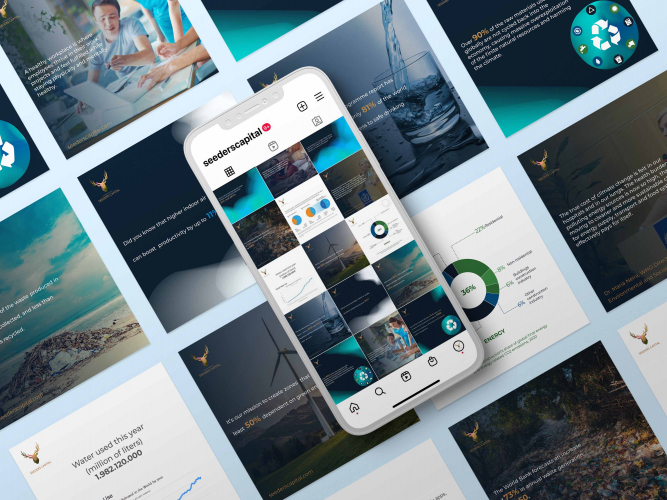 Social Media Marketing for Seeders Capital screenshot 2