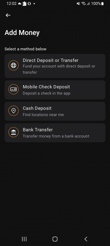 Mobile Banking Application Development screenshot 2
