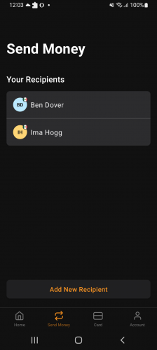 Mobile Banking Application Development screenshot 1