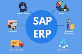 SAP ERP global template