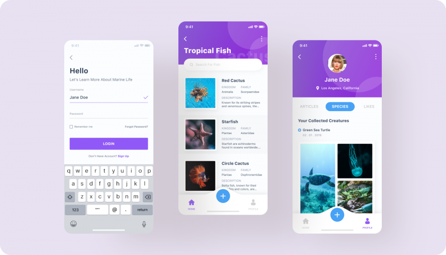 Automated ERP Software for the Turtle & Tortoise Museum screenshot 5