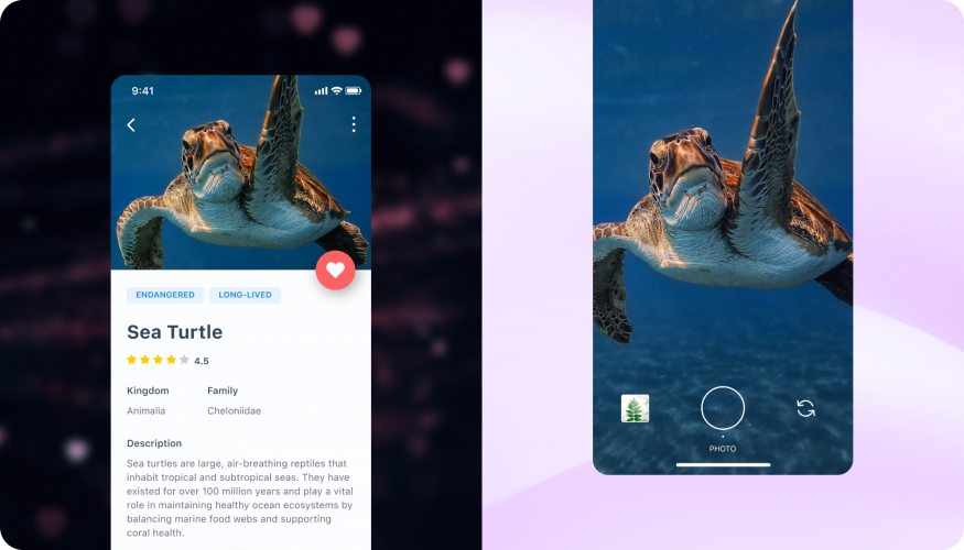 Automated ERP Software for the Turtle & Tortoise Museum screenshot 3
