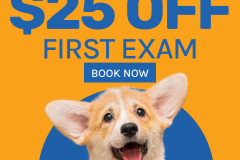 United Veterinary Care x KARMA jack