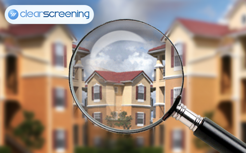 Background Check Software screenshot 1