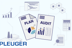 IT Audit for the Industrial Manufacturer