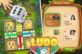 LUDO - ONLINE MULTIPLAYER BOARD GAME