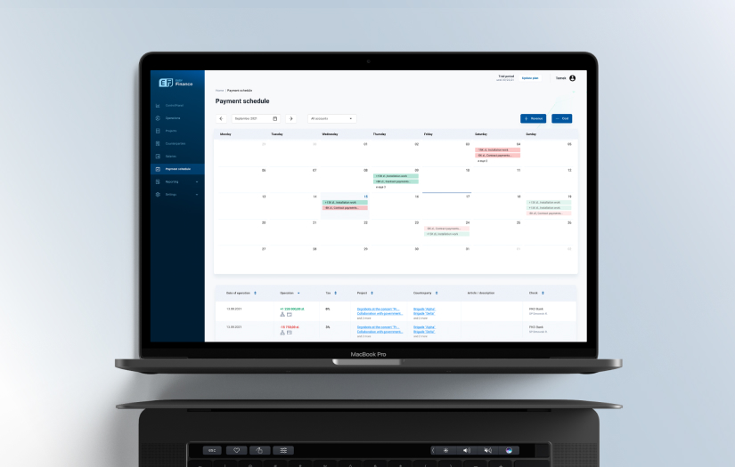 How We Developed an Online Tool for Managing Business Finances screenshot 2