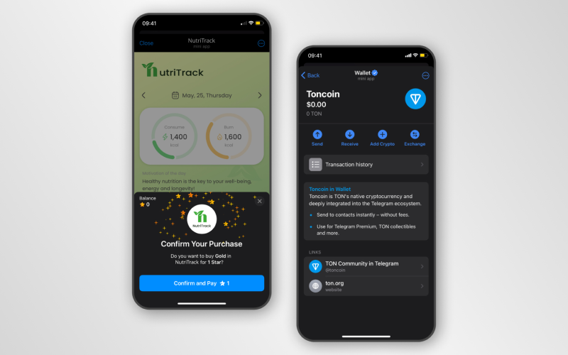 NutriTrack mini app screenshot 3