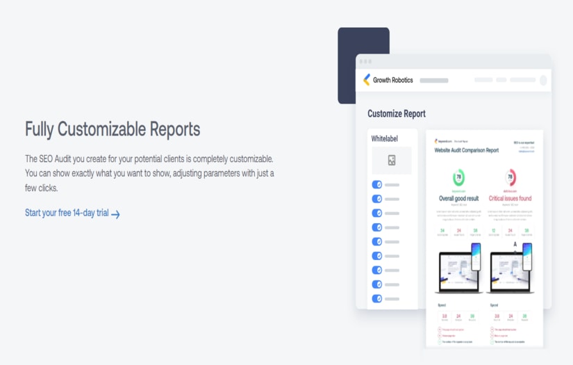 SiteAuditor screenshot 1