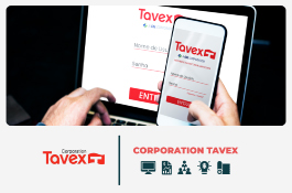 Tavex - Custom Software Development