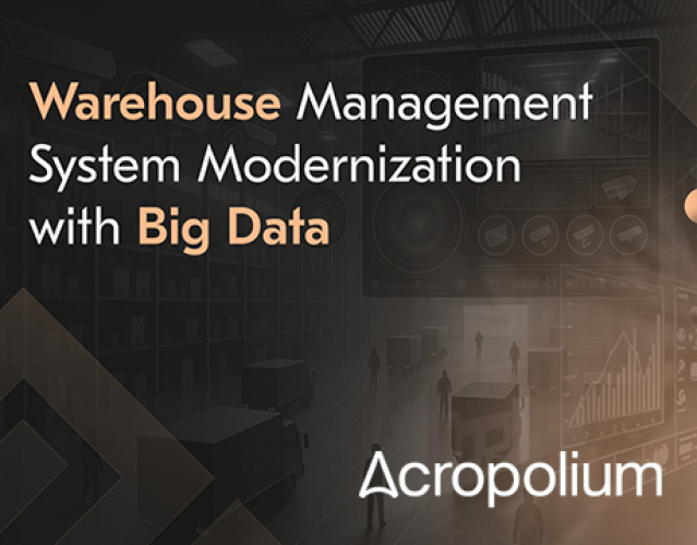 Big Data-powered WMS Modernization screenshot 1