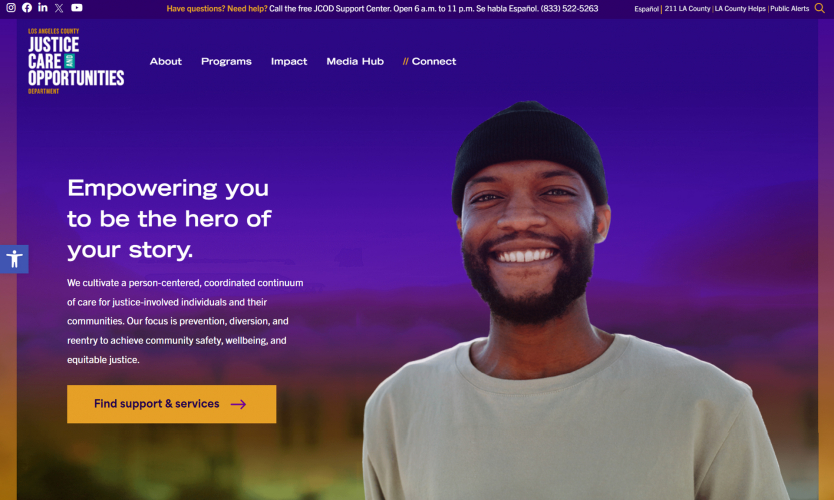 Brand Identity and Website for LA County Justice Initiative screenshot 3