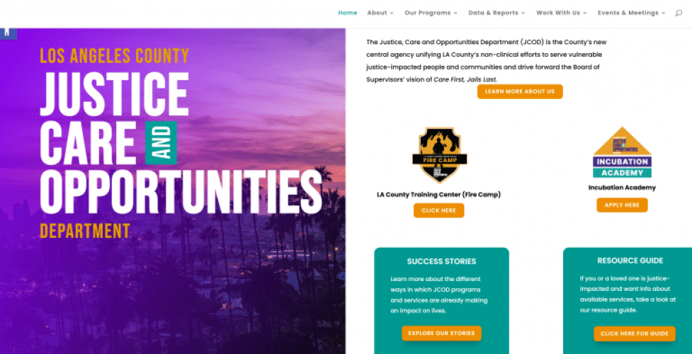 Brand Identity and Website for LA County Justice Initiative screenshot 2