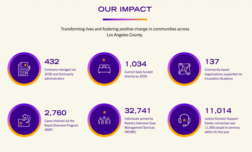 Brand Identity and Website for LA County Justice Initiative screenshot 1