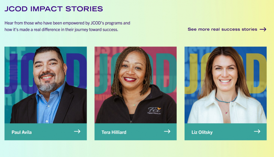 Brand Identity and Website for LA County Justice Initiative screenshot 4