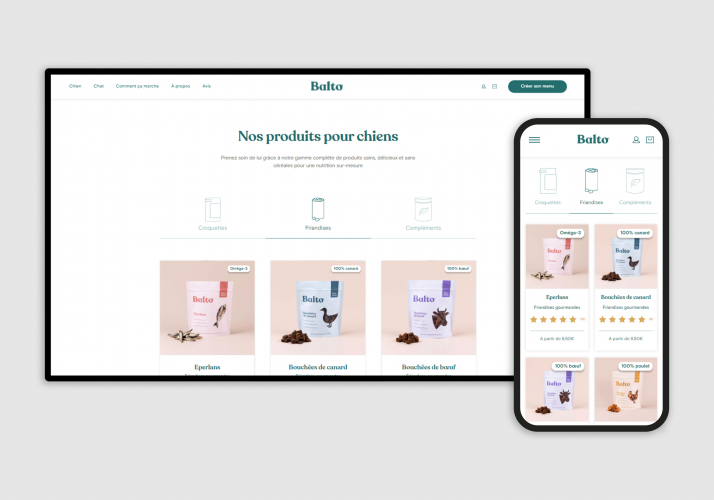 Balto Store Setup screenshot 2