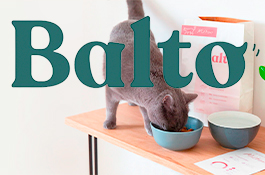 Balto Store Setup