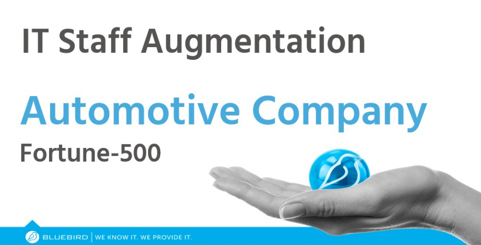 Fortune-500 Automotive Company: Case Study screenshot 1