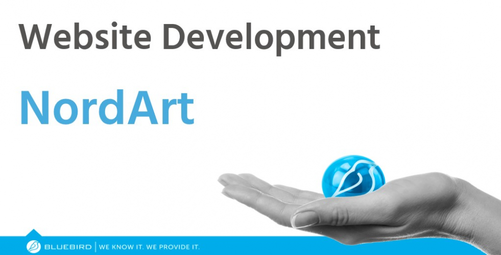 NordArt Case Study: Online store development screenshot 1