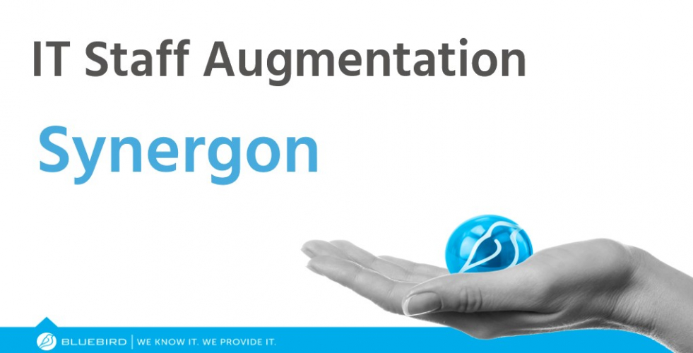 Synergon Case Study ($4.2 million) - IT Staff Augmentation screenshot 1