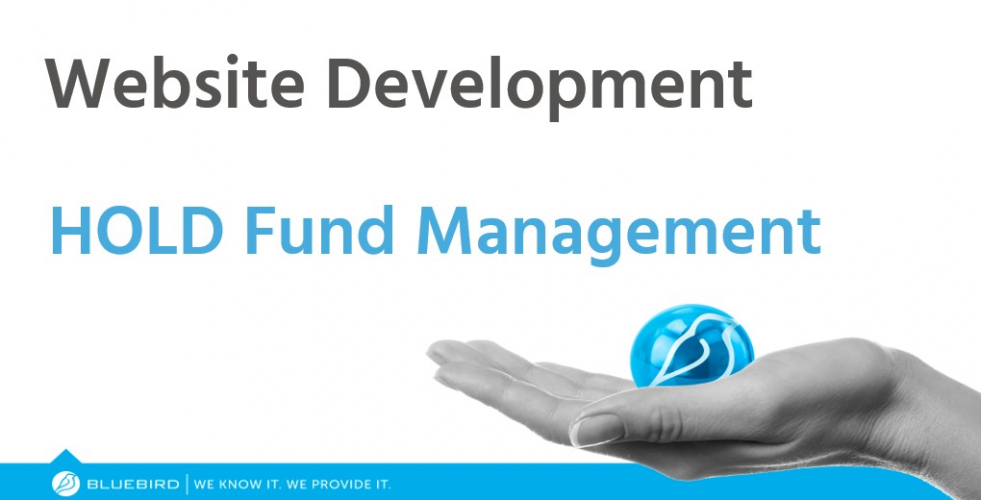 HOLD Fund Management Case Study screenshot 1