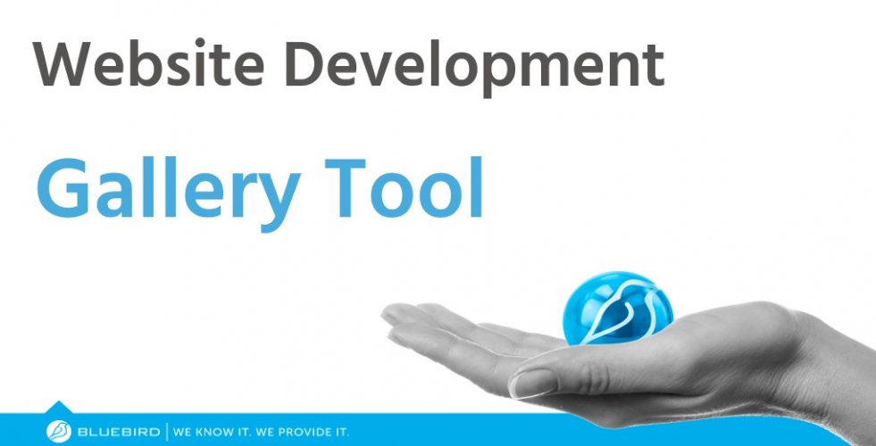 Web Development Case Study screenshot 1