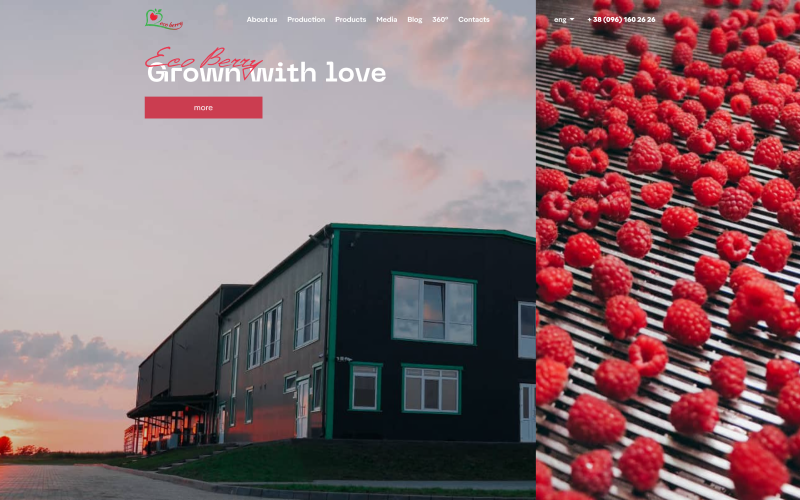 Ecoberry screenshot 1