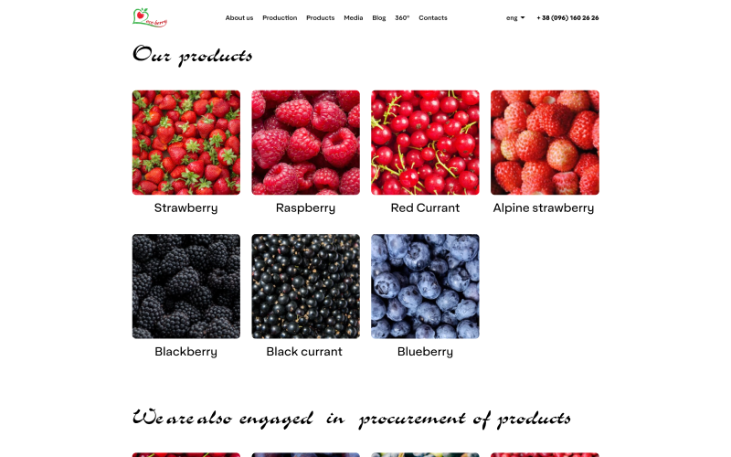 Ecoberry screenshot 2