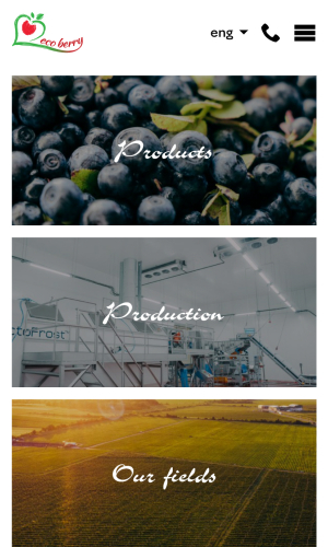 Ecoberry screenshot 4