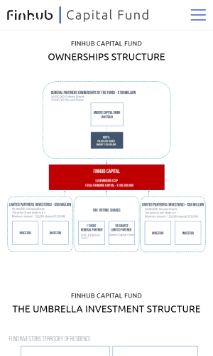 Finhub Capital Fund screenshot 4