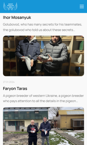 Best Pigeon Bid screenshot 3