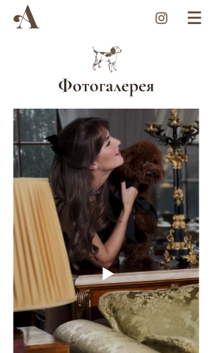 Amanda Pet's Spa screenshot 4