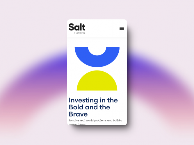 Web Design for a Venture Capital Firm  based in the UAE screenshot 1