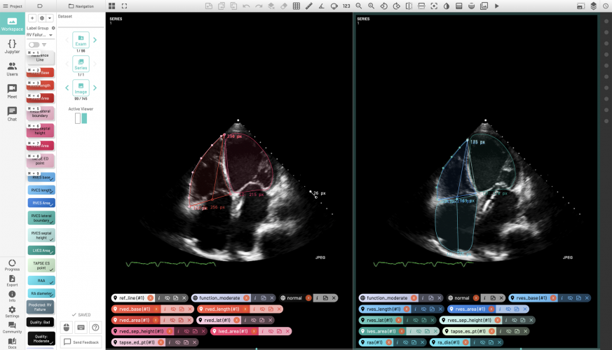 AI Diagnostic Support System screenshot 1