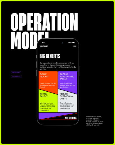 uSoftware — Brand Identity and Website Design screenshot 3