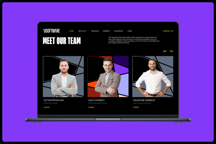 uSoftware — Brand Identity and Website Design screenshot 1