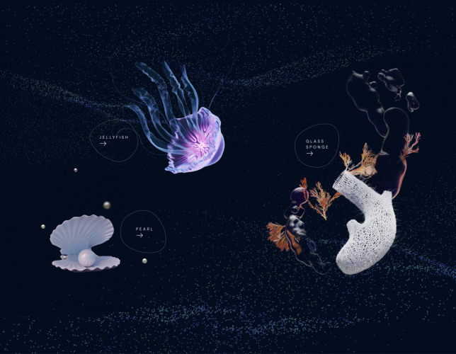 LaMarine — Website for Cosmetics Brand screenshot 3