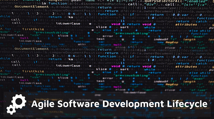 Agile Software Development Life Cycle
