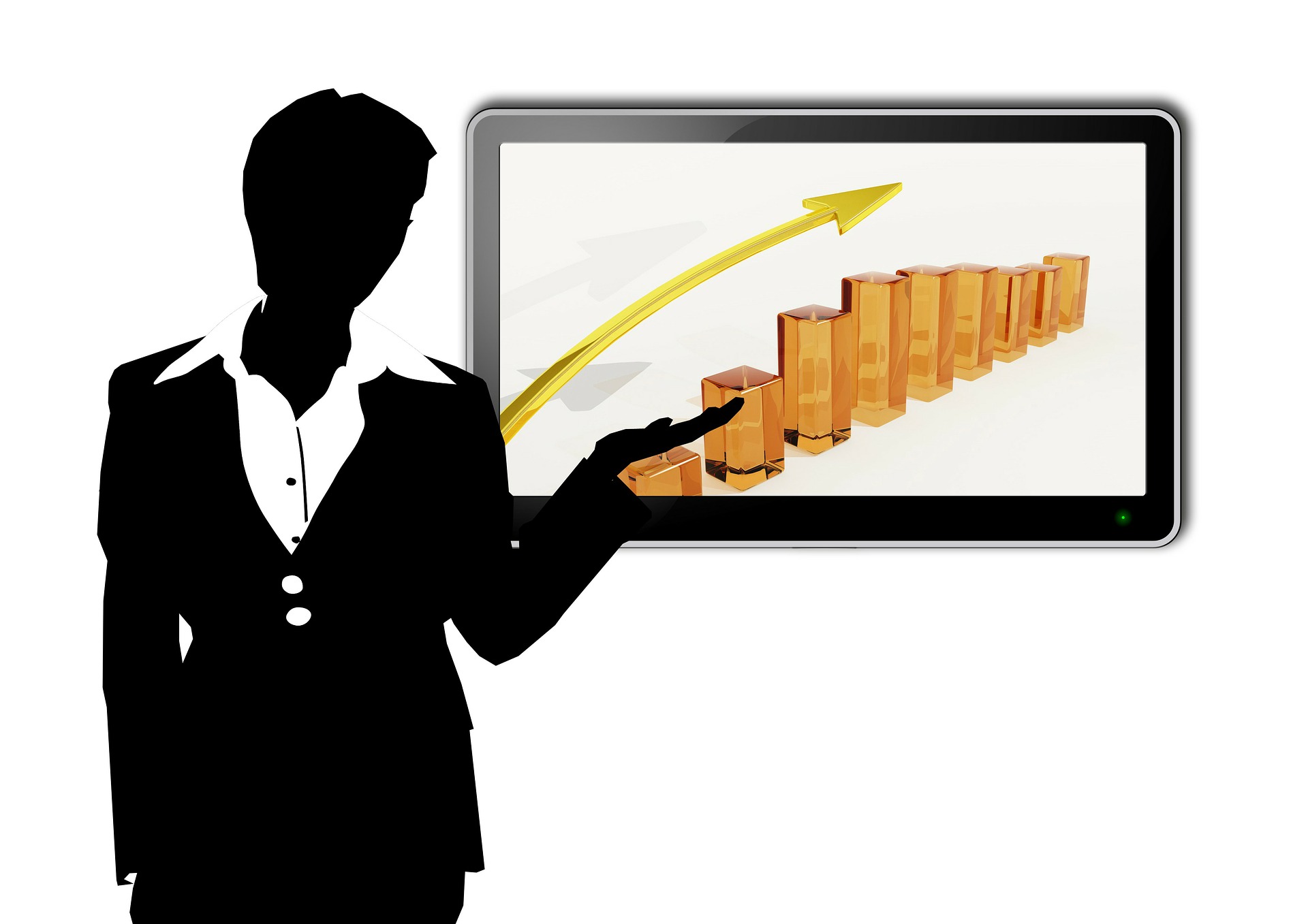 Business reporting and budgeting of expenses