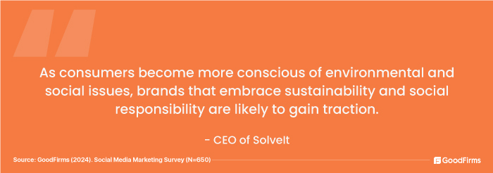 quote by ceo of solveit on social responsibility and sustainability