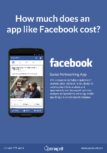 How much does an app like Facebook cost?