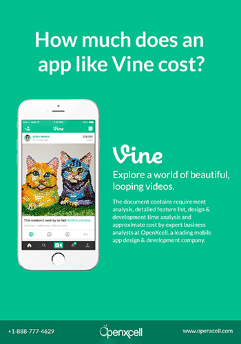 How much does an app like Vine cost?