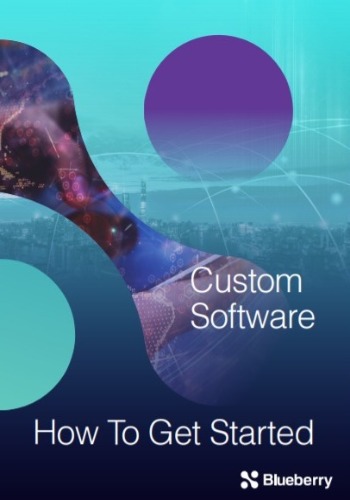 Custom Software Development: How To Get Started